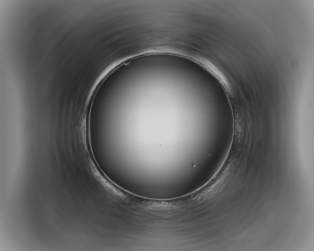 X0000116261100200912071017