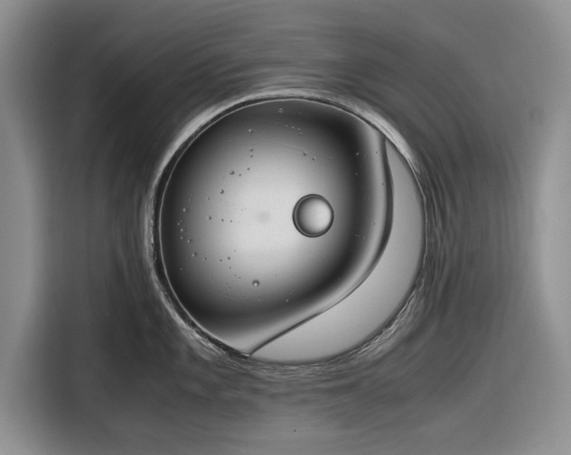 X0000116261101200912071017