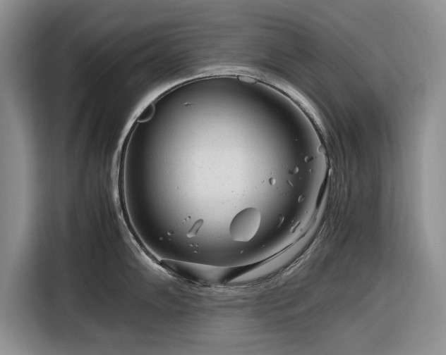X0000116261102200912071017