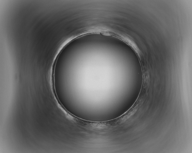 X0000116261103200912071017