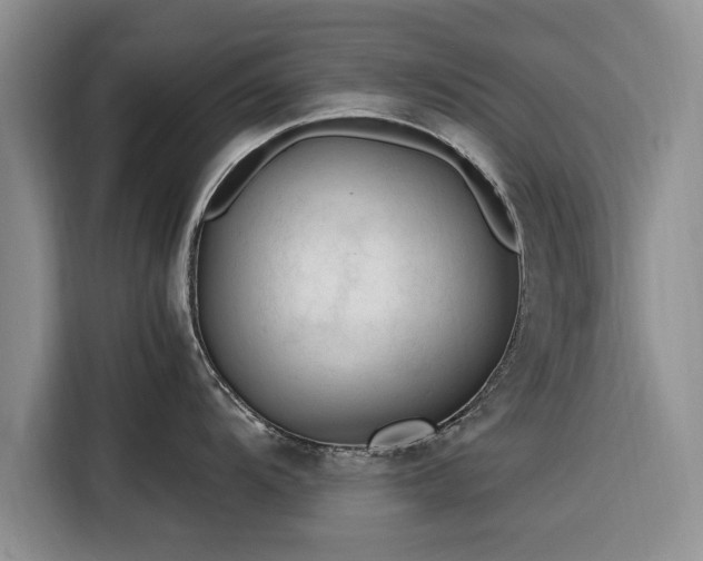 X0000116261104200912071017