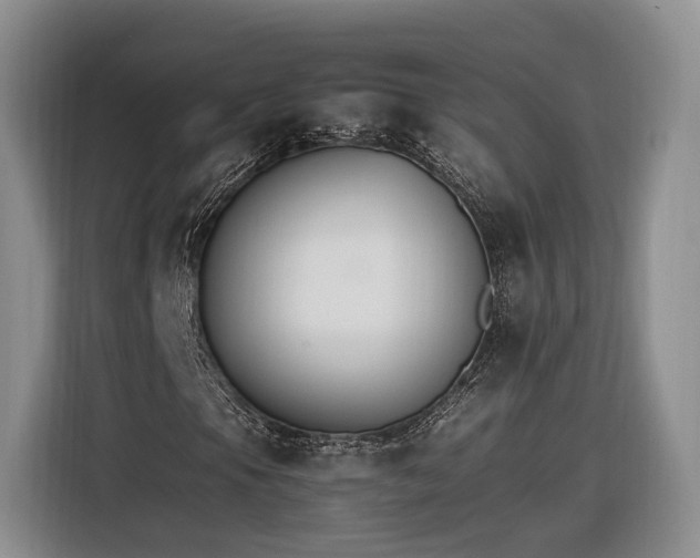 X0000116261105200912071016