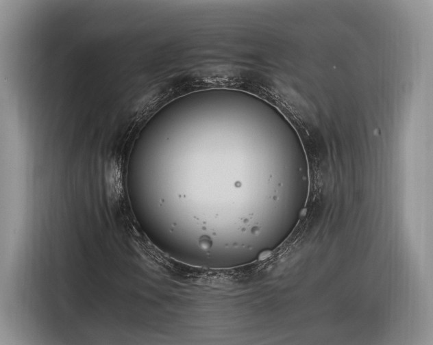 X0000116261106200912071017