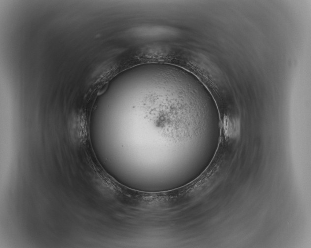 X0000116261107200912071017
