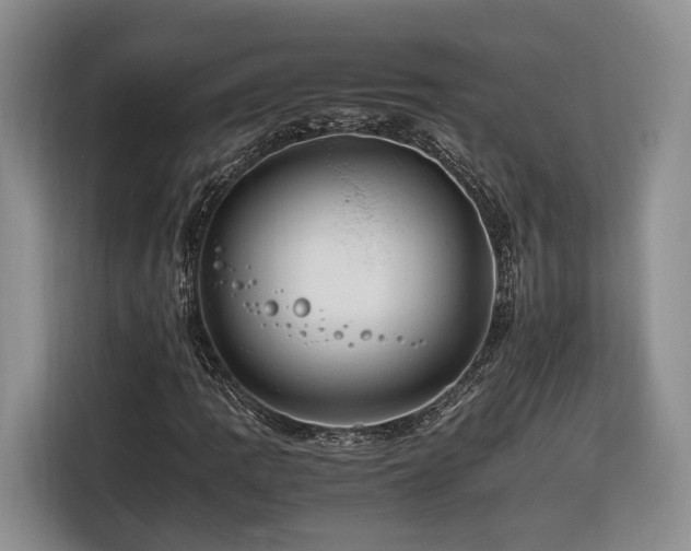 X0000116261109200912071017