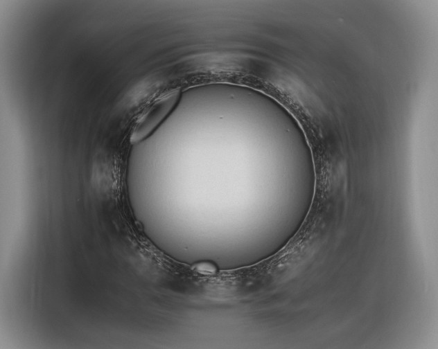 X0000116261110200912071017