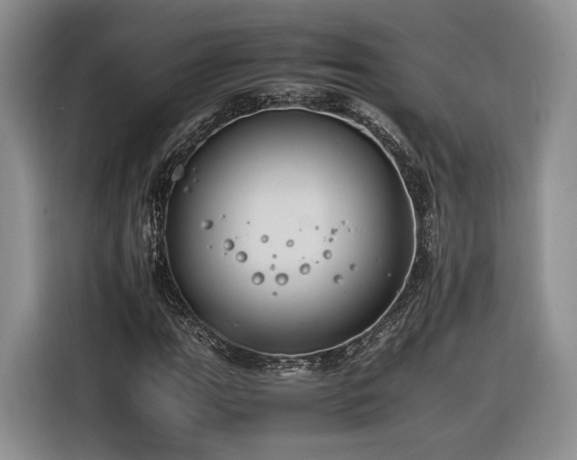 X0000116261111200912071017
