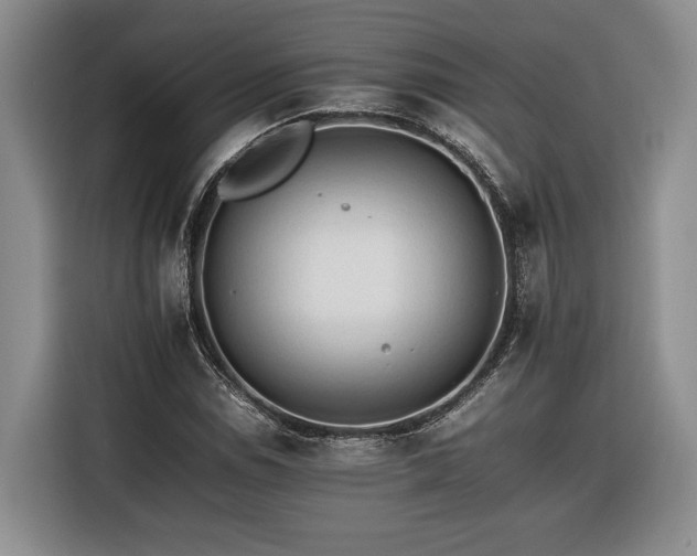 X0000116261114200912071017