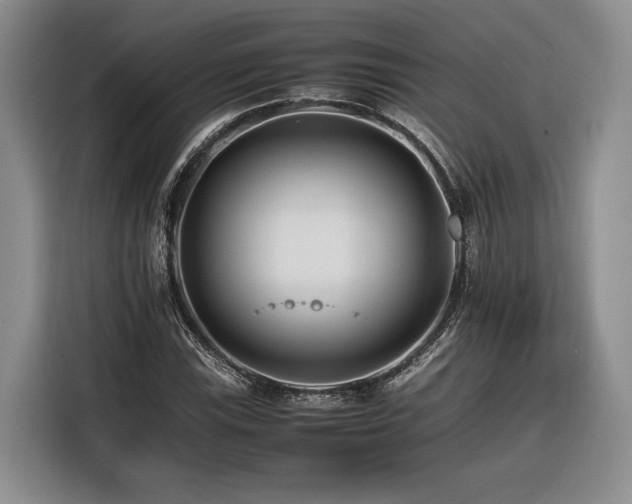 X0000116261115200912071017