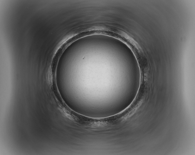 X0000116261117200912071017