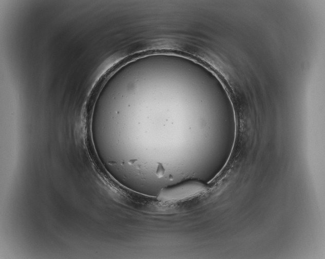 X0000116261119200912071017