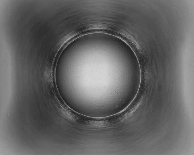 X0000116261121200912071017