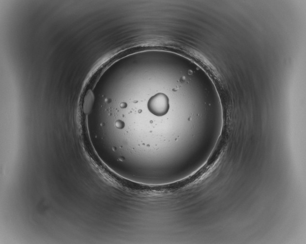 X0000116261122200912071017