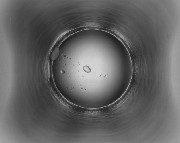 X0000116261123200912071017