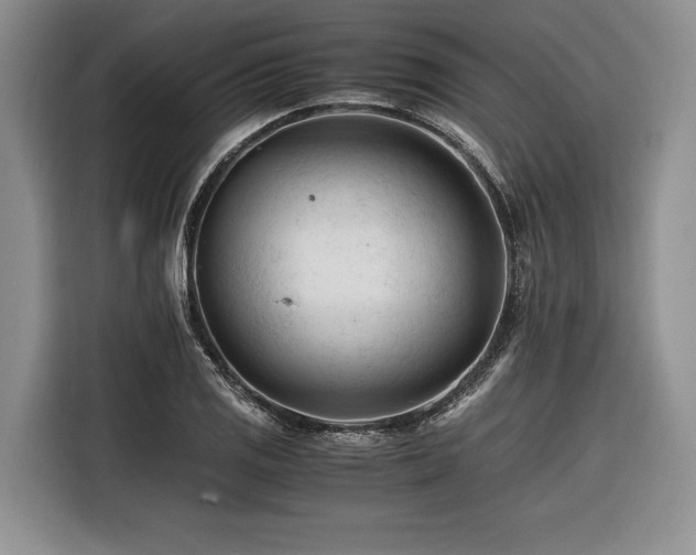 X0000116261125200912071017