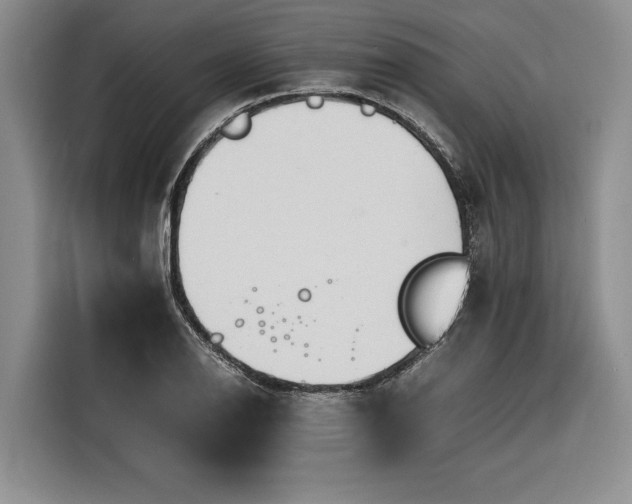 X0000116261126200912071017