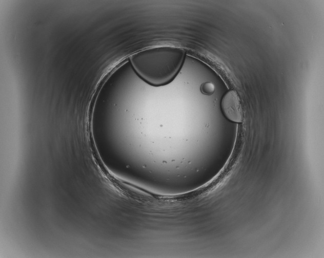 X0000116261129200912071017