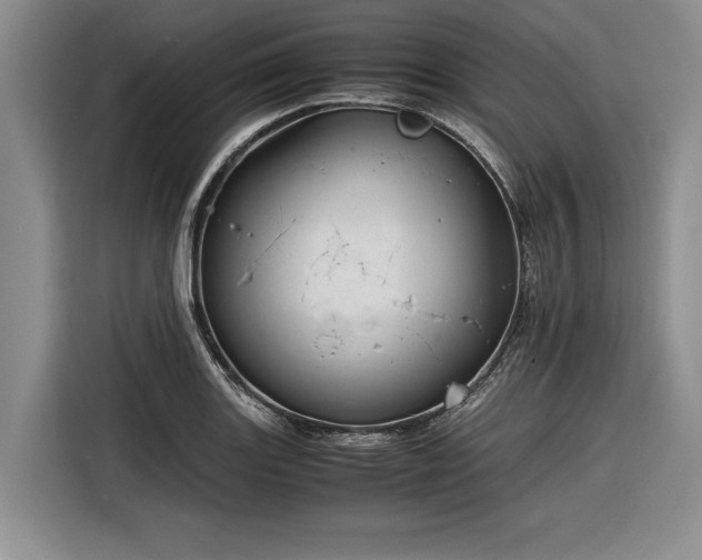 X0000116261131200912071017