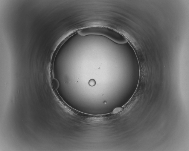 X0000116261134200912071017