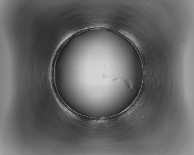 X0000116261135200912071017