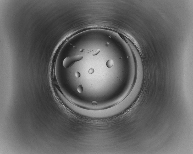 X0000116261138200912071017