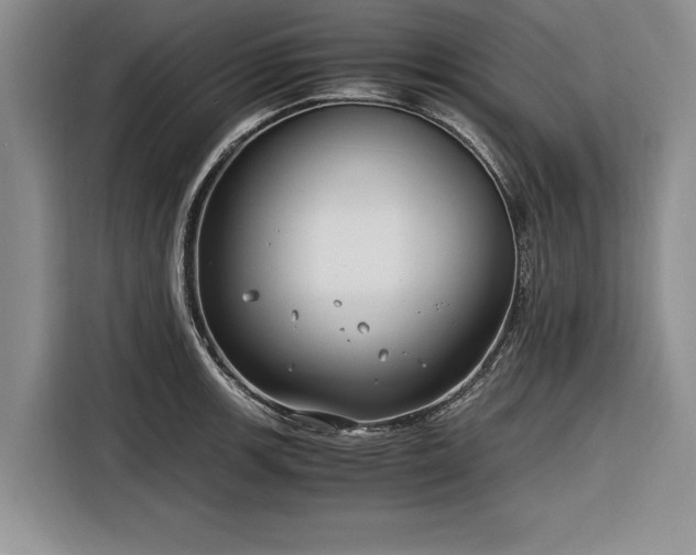 X0000116261139200912071017