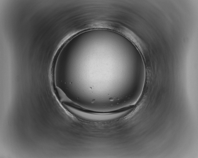 X0000116261141200912071017