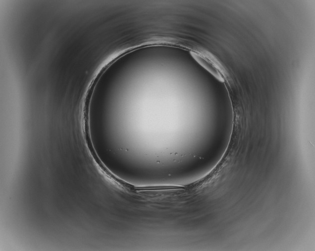 X0000116261143200912071017