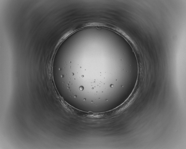 X0000116261145200912071017