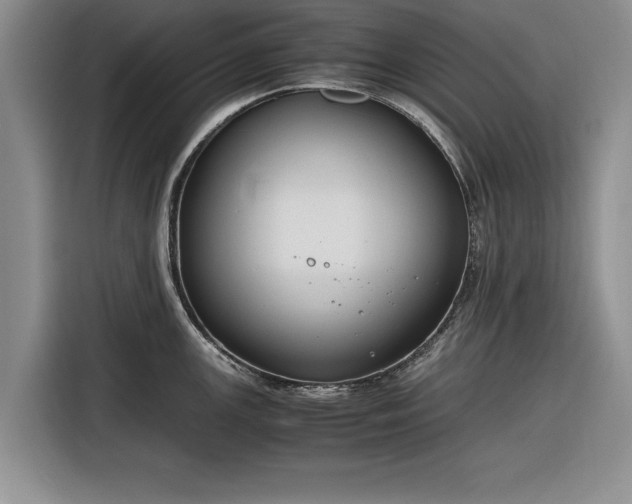 X0000116261147200912071017