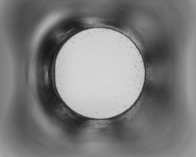 X0000116261150200912071017