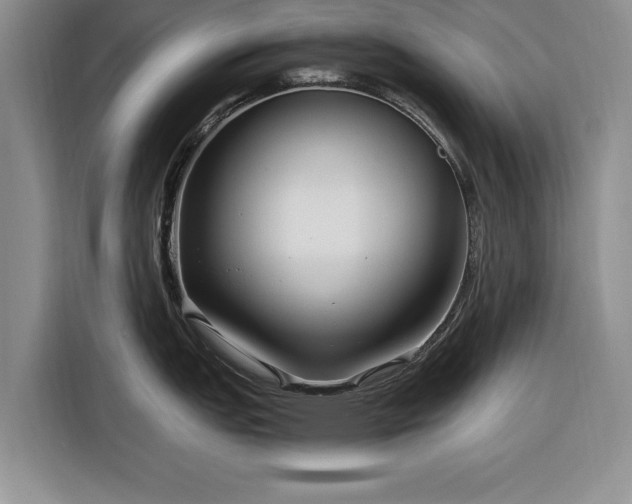 X0000116261151200912071017