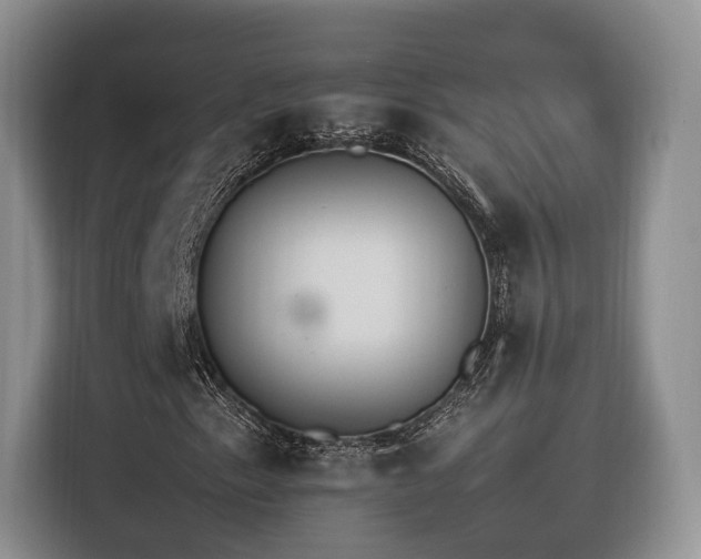 X0000116261153200912071016