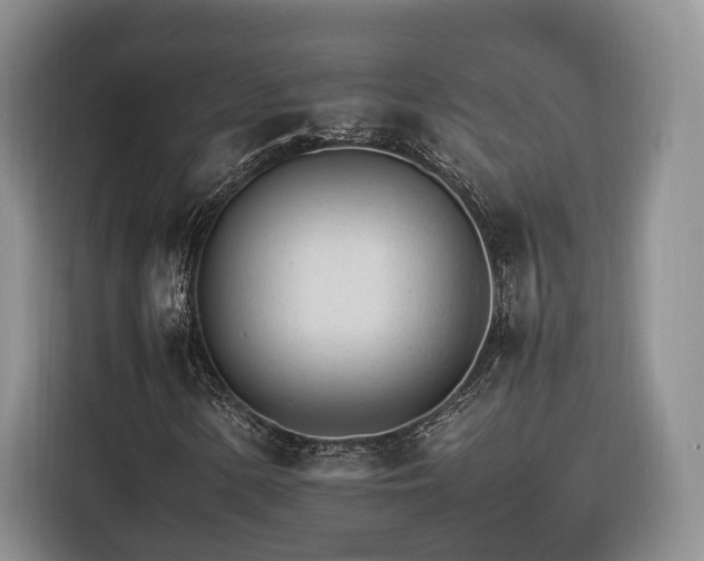 X0000116261154200912071016