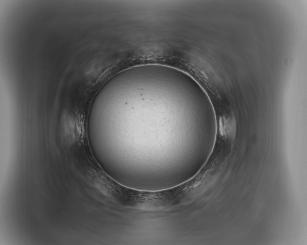 X0000116261155200912071016