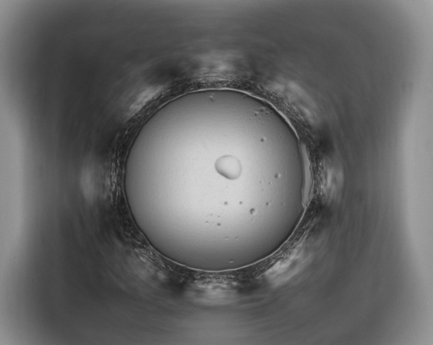 X0000116261157200912071016