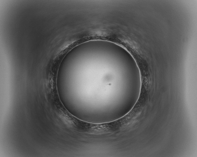 X0000116261159200912071016
