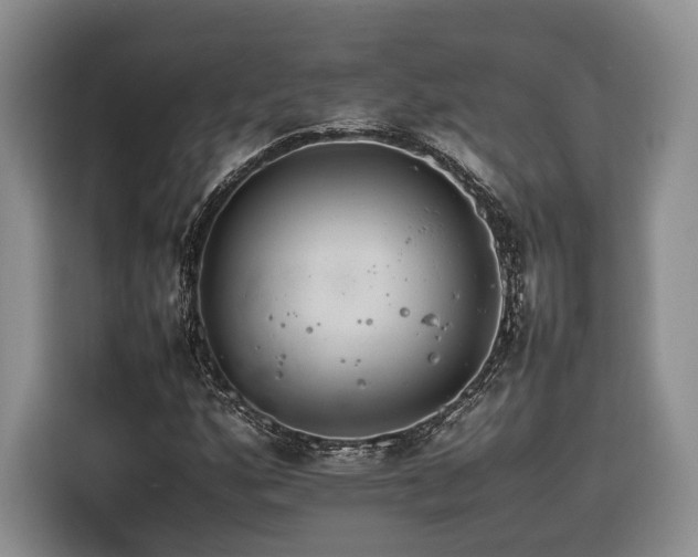 X0000116261160200912071016
