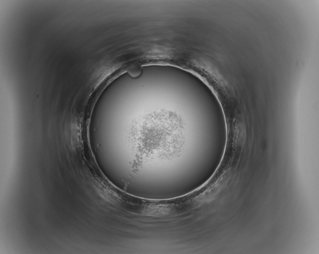 X0000116261162200912071016