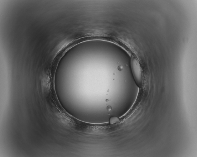 X0000116261163200912071016