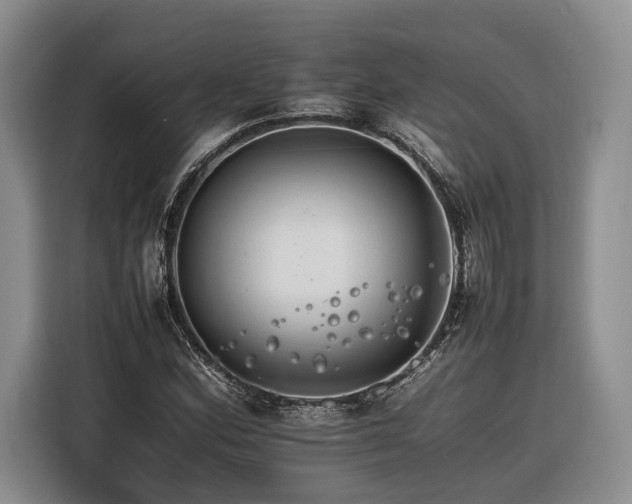 X0000116261164200912071016
