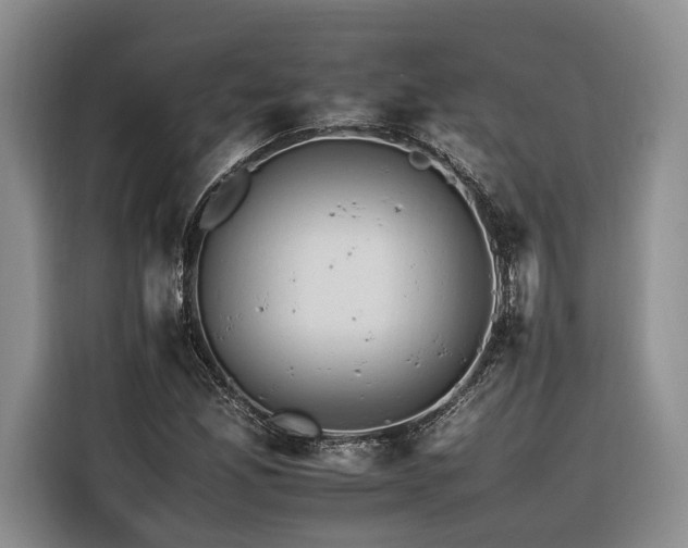 X0000116261165200912071016