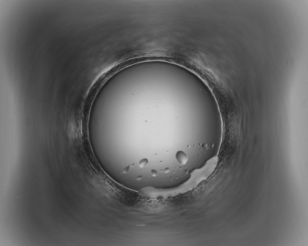 X0000116261166200912071016