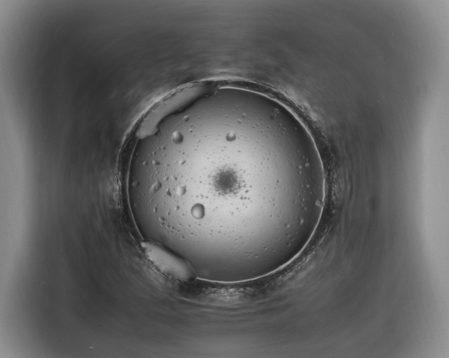 X0000116261167200912071016