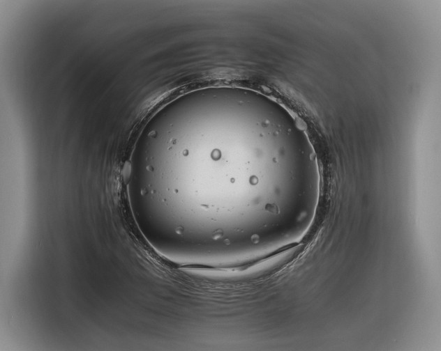 X0000116261169200912071016