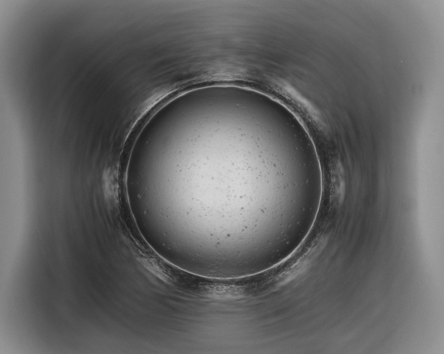 X0000116261170200912071016