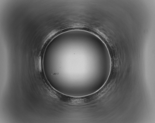 X0000116261171200912071016