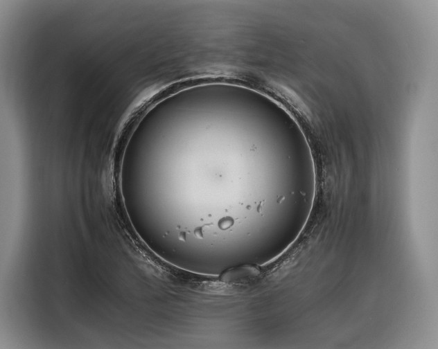 X0000116261172200912071016