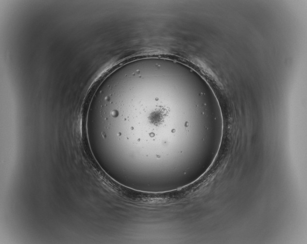 X0000116261173200912071016