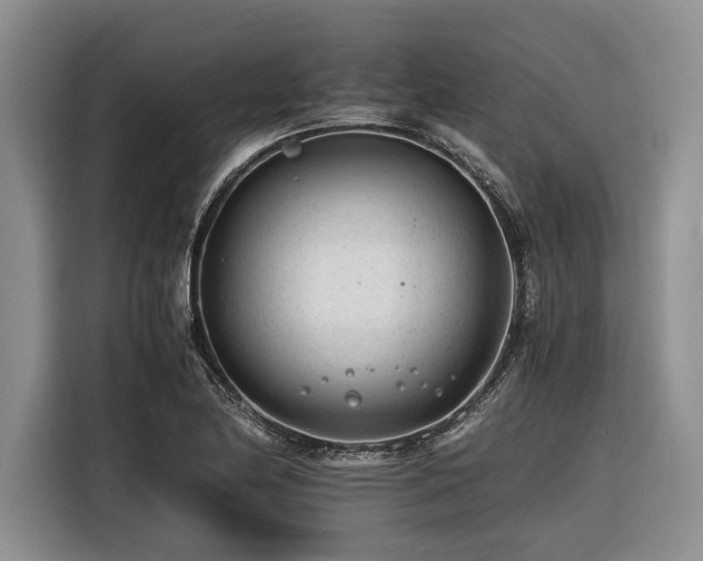 X0000116261174200912071016